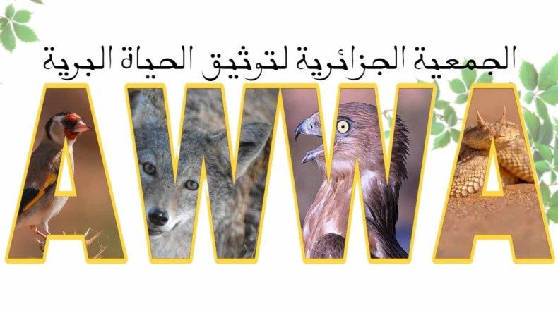 إنجاز علمي جديد للجمعية الجزائرية لتوثيق الحياة البرية