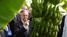 بداري يعاين محطة فلاحية بيوتكنولوجية لإنتاج شتلات الموز