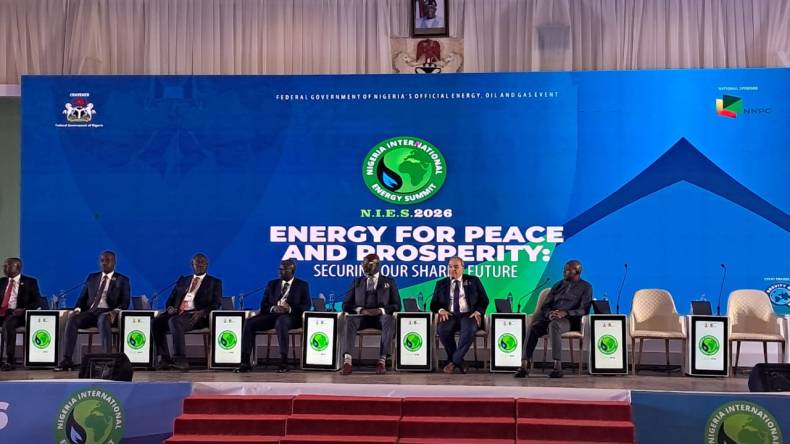 أبواب جديدة للشراكة الطاقوية بين الجزائر والدول الإفريقية