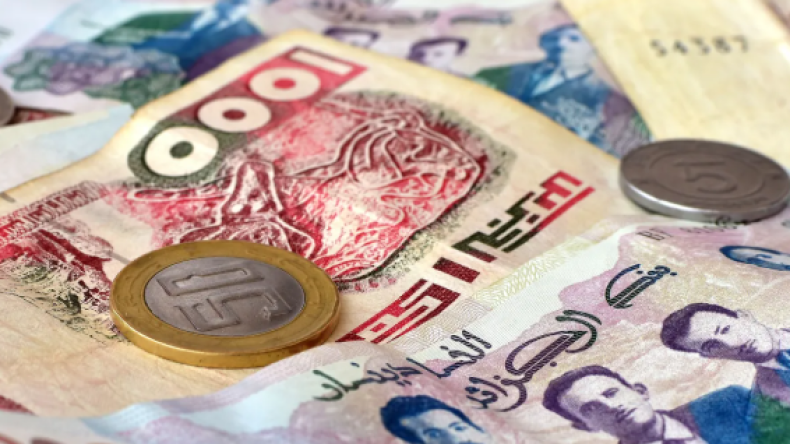 كل ما يجب أن تعرفه حول اقتناء قسيمة السيارات