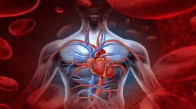 خبراء يحذّرون: عادات غير متوقعة قد تدمّر قلبك!