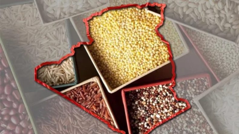 برنامج تدريجي للاستغناء عن استيراد البذور والشتلات وتعزيز الأمن الغذائي