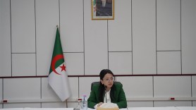 تسهيلات لأصحاب السجل التجاري وإجراءات وفق توصيات “غافي”