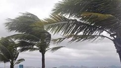 BMS: D es vents forts dimanche sur plusieurs wilayas