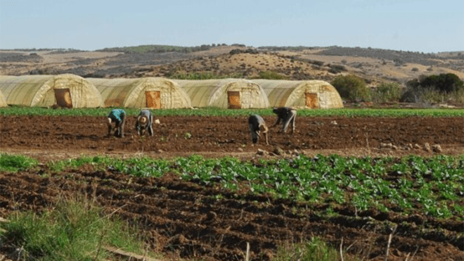 هذه الوثائق المطلوبة من الفلاحين لمطابقة الأراضي المستصلحة