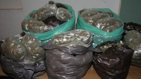 حجز أكثر من 20 قنطار من مادة الشمّة المغشوشة (صور)