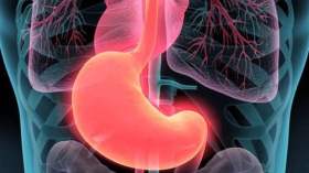 لهذا تتجدد بطانة معدتك كل بضعة أيام!