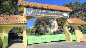 “الرّحلات السياحيّة الى الحظائر الوطنية تفسد الحياة البرّية… !”