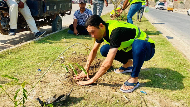 عشوائية التشجير على الأرصفة… من ظاهرة إيجابية إلى خطر على المارة