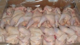 ضخ كميات كبرى من الدجاج البرازيلي بـ320 دينار بداية من اليوم!