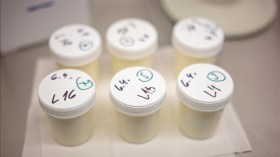 France: Nouveaux rappels de laits infantiles en raison d’une toxine