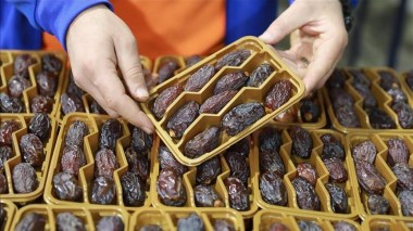 Alerte sur la vente de dattes israéliennes présentées comme palestiniennes