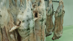 إجراء عاجل للتمييز بين اللحوم المستوردة والمحلّية!