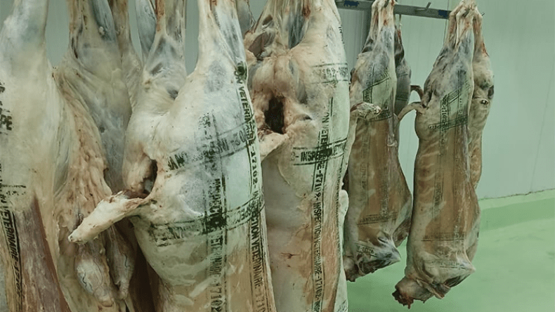 إجراء عاجل للتمييز بين اللحوم المستوردة والمحلّية!