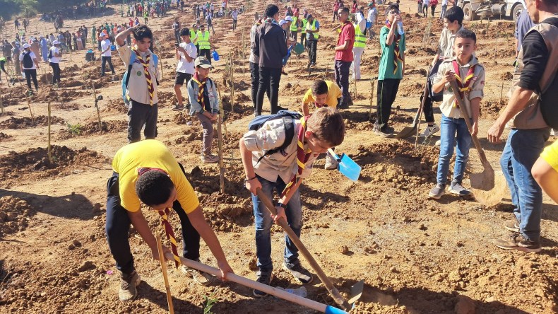 بعد نجاح الحملة السابقة.. الجزائر على موعد مع أضخم حملة تشجير
