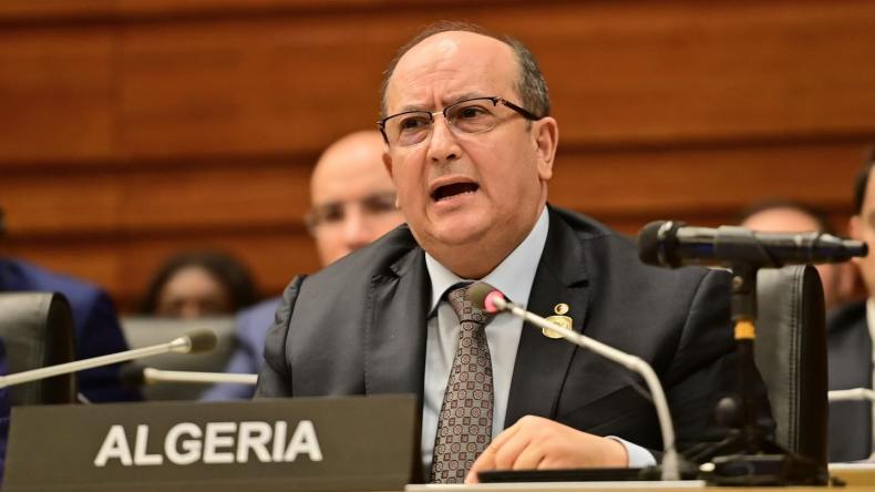 الرئيس تبون يرافع من أجل أن تحتل إفريقيا “المكانة التي تستحقها في مجلس الأمن”