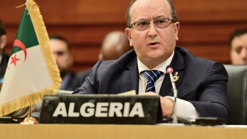 الرئيس تبون: إفريقيا تواجه ضغوطا للتضحية بأمنها الطاقوي تحت أعباء تغيرات المناخ