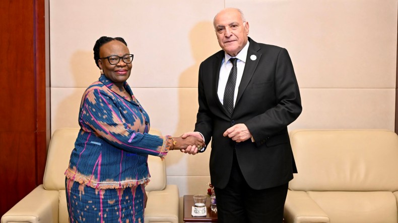 عطاف يلتقي عددا من نظرائه الأفارقة في أديس أبابا