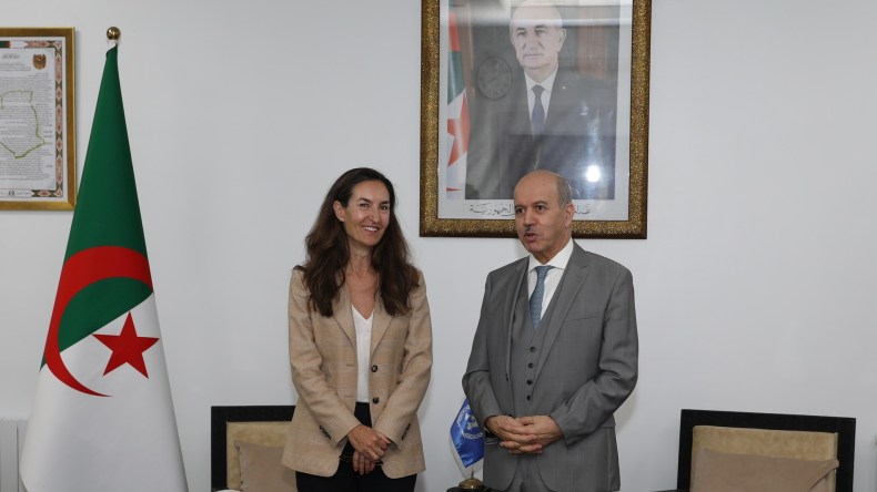 وزير العمل يستقبل ممثلة برنامج الأمم المتحدة الإنمائي بالجزائر