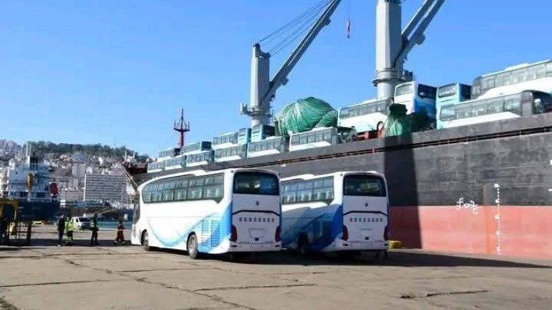 ميناء جن جن يستقبل 420 وحدة جديدة من الحافلات المستوردة