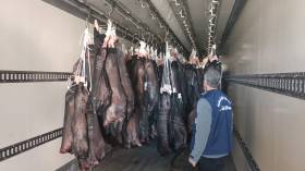 أزيد من 77 ألف تدخل و10 آلاف مخالفة تجارية خلال الأيام العشرة الأولى من رمضان