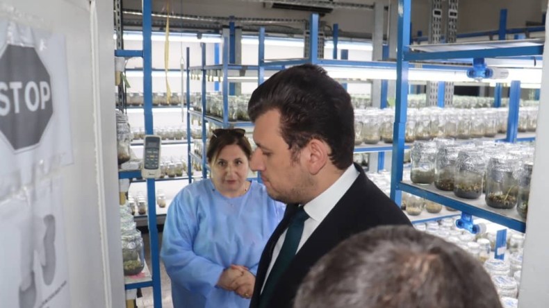 وزير الفلاحة يؤكد تسريع استكمال البنك الوطني للجينات لتعزيز الأمن الغذائي