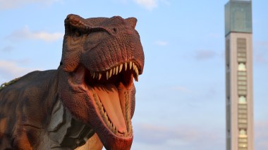 “إقبال كبير” على معرض الديناصورات في طبعته الثانية (صور)