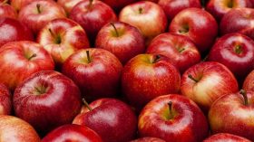 بـ1.8 مليون قنطار.. خنشلة تتصدر إنتاج التفاح في الجزائر