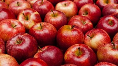 بـ1.8 مليون قنطار.. خنشلة تتصدر إنتاج التفاح في الجزائر