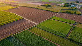 تعليمات بتشديد تطبيق التشريعات لتسريع تطهير العقار الفلاحي