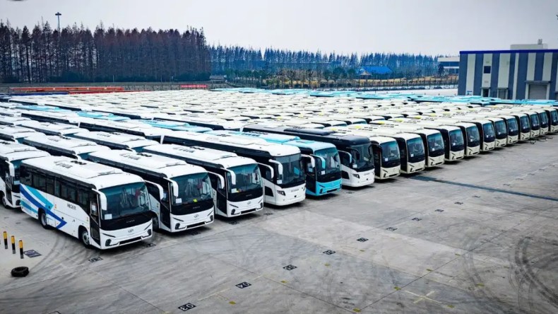 ميناء الجزائر يستقبل 568 وحدة من الحافلات المستوردة