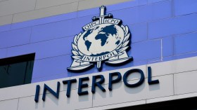 عملية دولية تفضي إلى اعتقال 60 متّهما بجرائم الانتهاك الجنسي ضد الأطفال