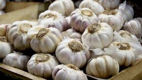 الشروع في تفريغ كميات معتبرة من الثوم الجاف