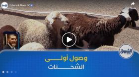 لتعزيز العرض في الأسواق وضبط الأسعار .. وصول أولى شحنات الأغنام المستوردة