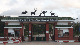 حديقة الحيوانات بجيجل… قبلة العائلات الأولى خلال عطلة الربيع