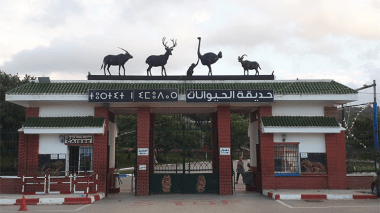 حديقة الحيوانات بجيجل… قبلة العائلات الأولى خلال عطلة الربيع