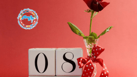 “الاتحاد العربي” يثني على دور المرأة في السلامة المرورية