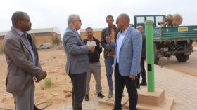 إجراءات استباقية بالولايات الجنوبية لمواجهة خطر الجراد