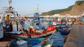 قريبًا.. إجراءات تحفيزية جديدة لدعم الاستثمار في الصيد البحري