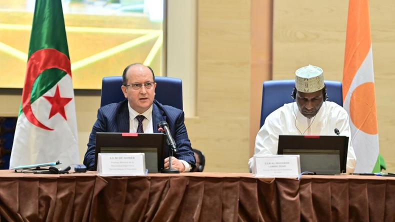 اختتام أشغال اللجنة المشتركة الجزائرية–النيجرية بنتائج مهمة