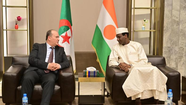 الوزير الأول يشرع في زيارة عمل إلى النيجر