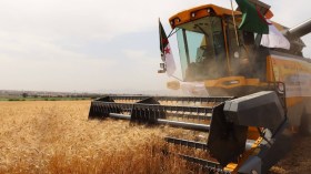 وزارة الفلاحة تعبّئ إمكانياتها لموسم الحصاد والدرس المقبل