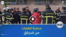 20 ألف عون تدخل و 65 رتل متنقل.. الحماية المدنية تتجنّد لحماية الغابات من الحرائق