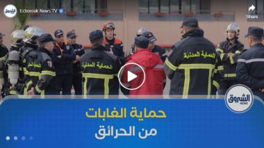 20 ألف عون تدخل و 65 رتل متنقل.. الحماية المدنية تتجنّد لحماية الغابات من الحرائق