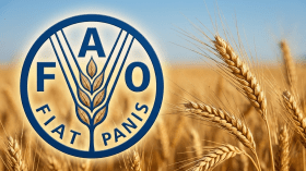 الفاو: أسعار الغذاء العالمية ترتفع لأول مرة منذ خمسة أشهر