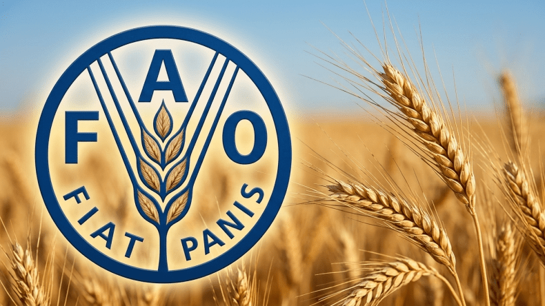 الفاو: أسعار الغذاء العالمية ترتفع لأول مرة منذ خمسة أشهر
