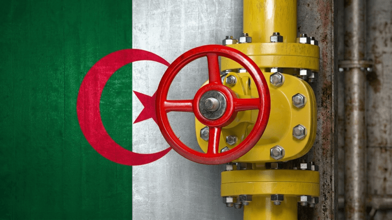 انطلاق الندوة الثامنة للجمعية الجزائرية لصناعة الغاز