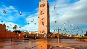 من ينقذ بلاد مراكش من الاستيطان؟