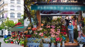 تجارة الورود في الجزائر بأسعار الذهب… !