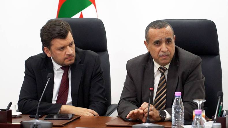 بحث تسريع ربط المشاريع الفلاحية الكبرى في الجنوب بالطاقة